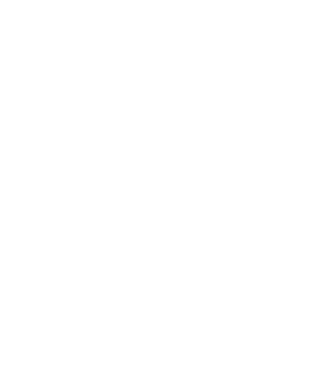 point 01