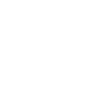 point 04